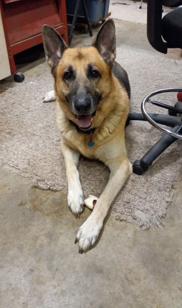 bruno sept smiles.jpg